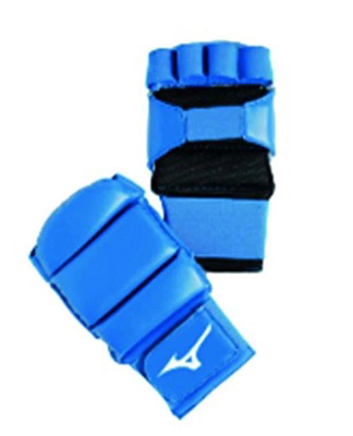 GANTS DE JUJITSU