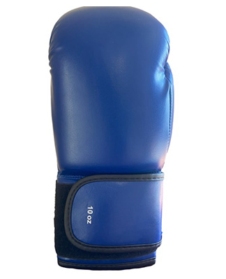 GANTS DE BOXE