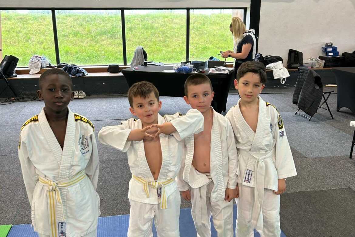 Tournoi du CSL Aulnay-EGJ - Judo Gagny