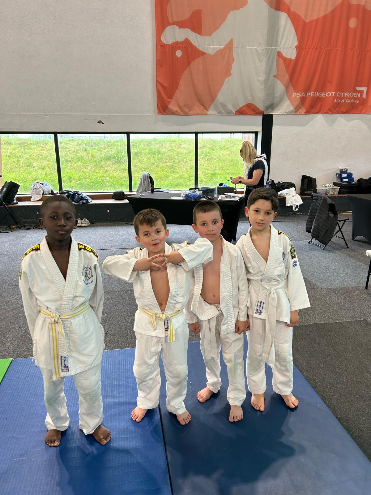 Tournoi du CSL Aulnay-EGJ - Judo Gagny