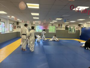 Cours parents enfants Handi Judo