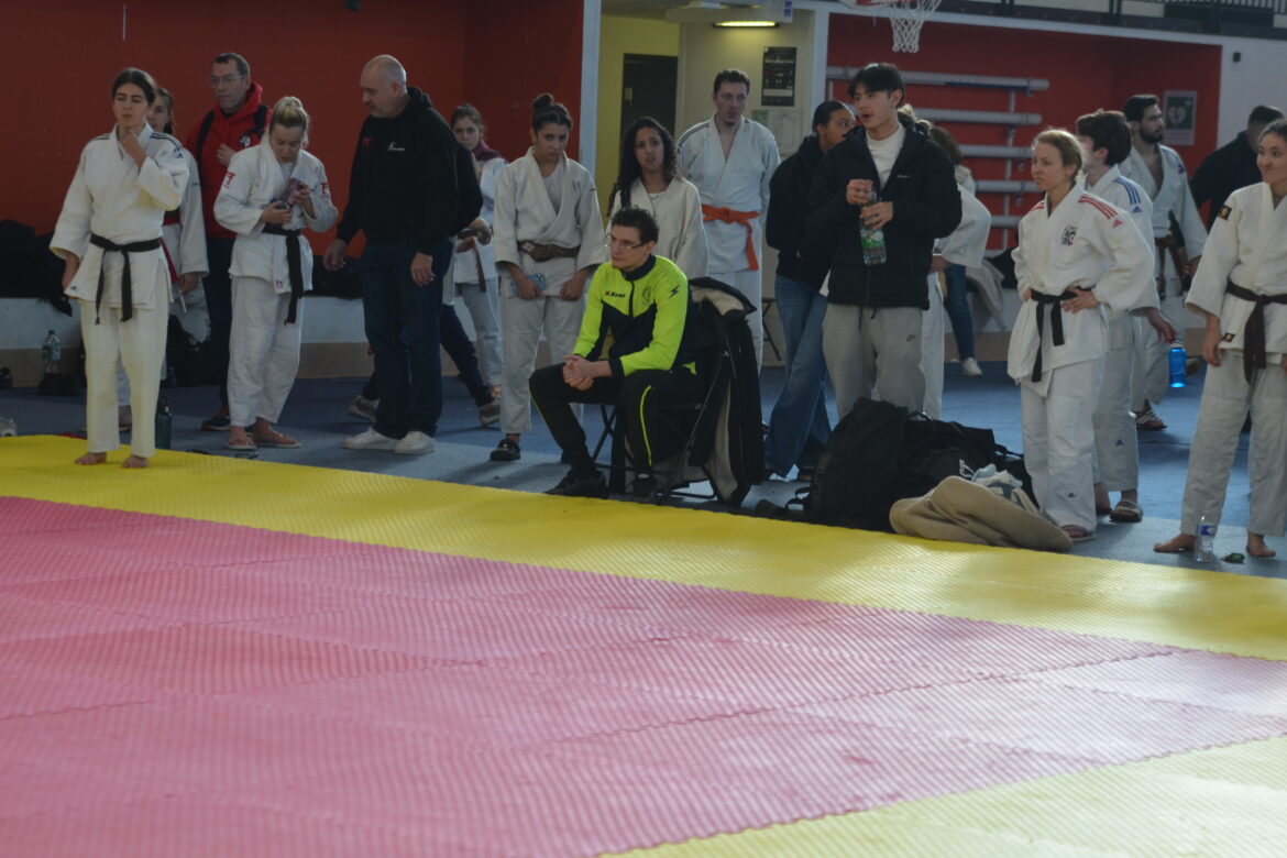 Circuit ceinture de couleur jan 26