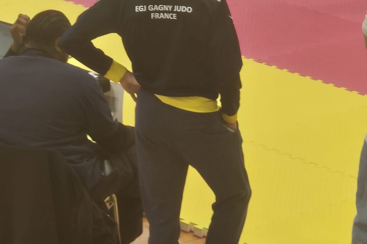 Coupe Shin ceinture de couleurs-Judo Gagny